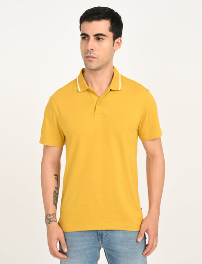 T-Shirt (Single Jersey, 100% Cotton)